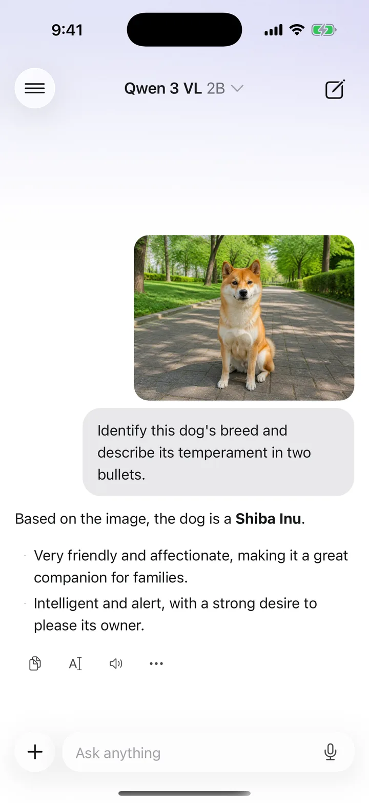 KernelAI identifying a dog's breed from a photo