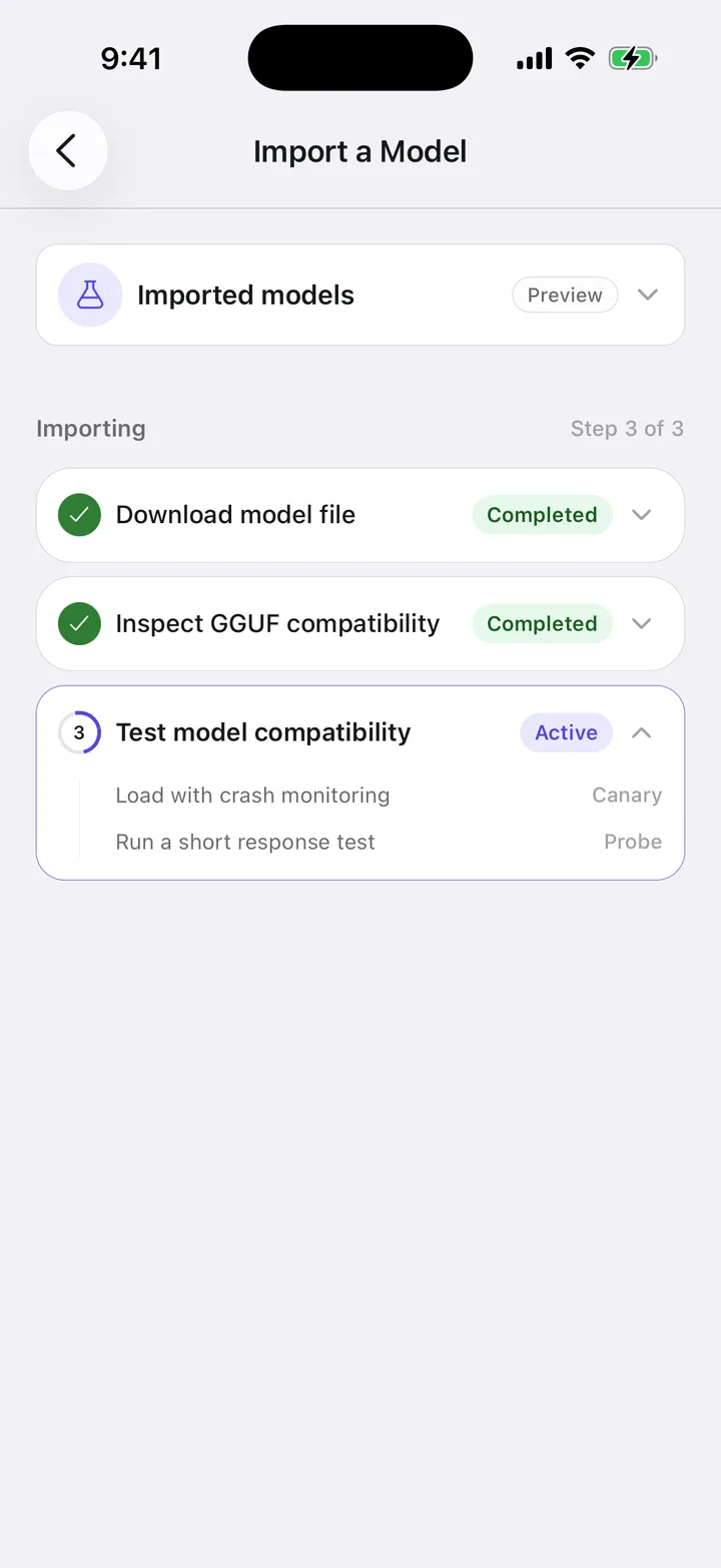The import screen testing an imported GGUF model for compatibility